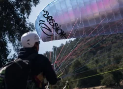 ae703fb3a4091047eee0e1f738726a12cd91f9d6-1200x800-1